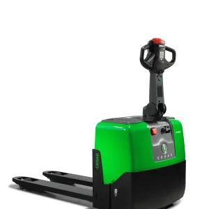 CESAB P100