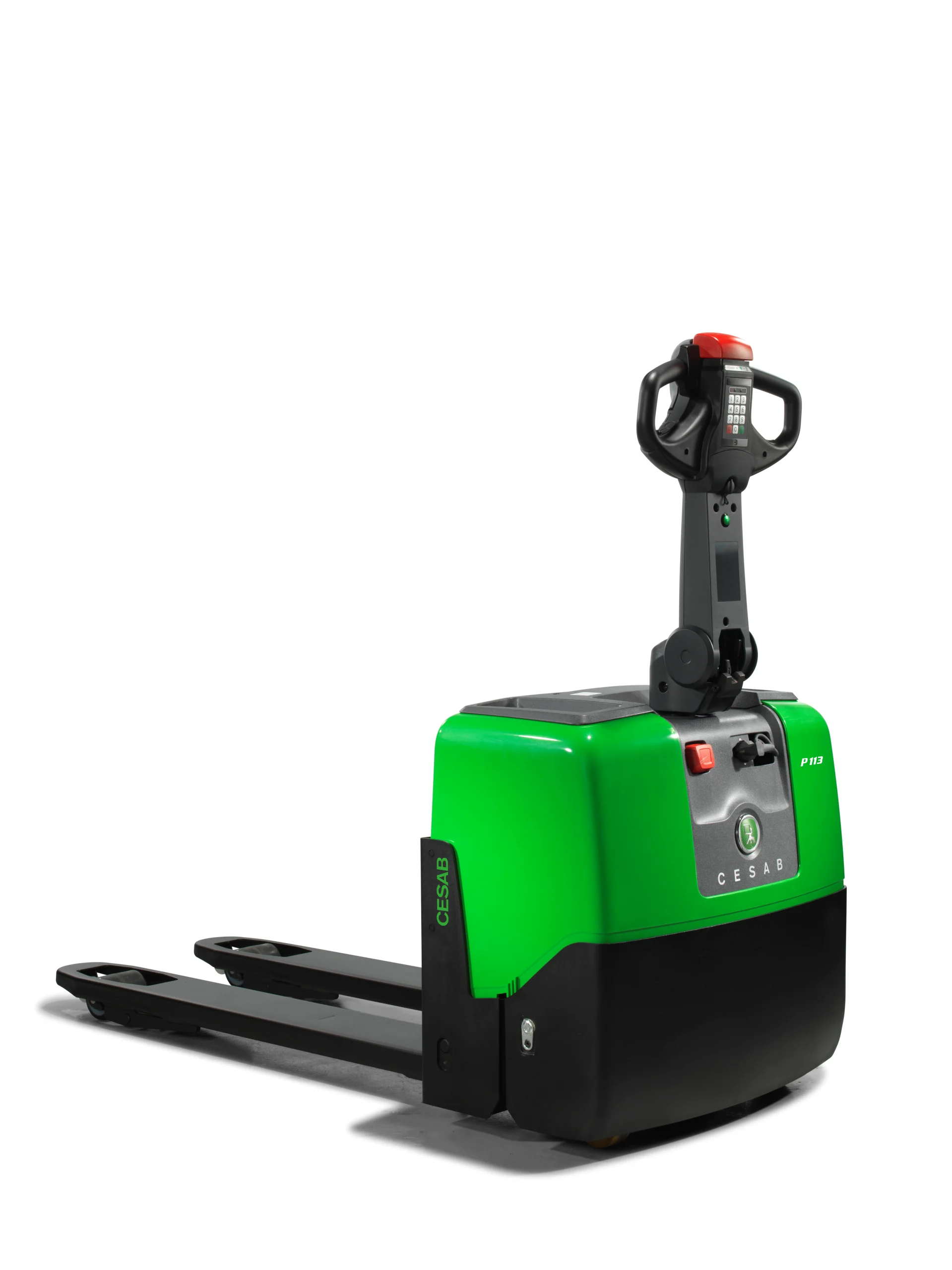 CESAB P100